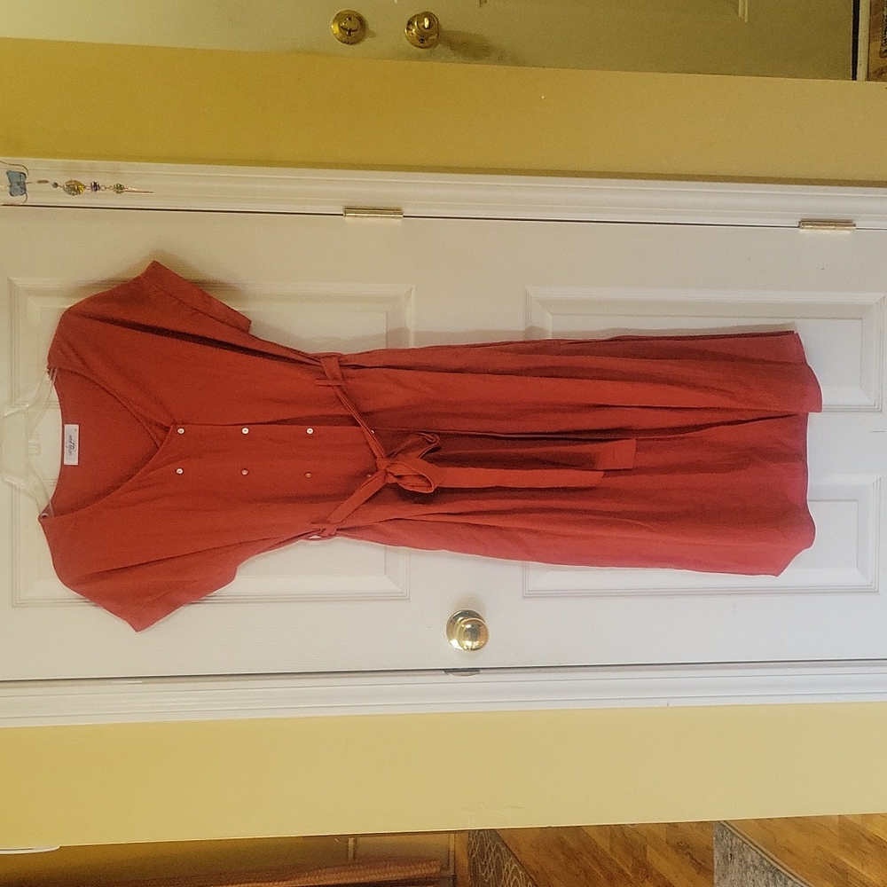 Like New Carly Jean Los Angeles Burnt Orange dress